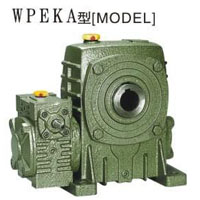 41.WPEKA